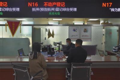 信阳市政务服务中心 周六不打烊，网络咨询双线并进，政务服务更便民