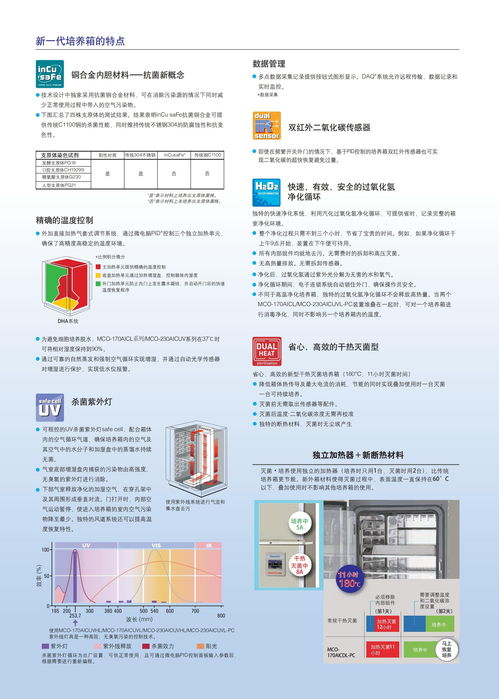 网络咨询服务 连接专业与需求的桥梁